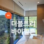 더블트리바이힐튼 판교 엄마와 호캉스 (코너룸,숲뷰,욕조룸)