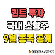 퀀트 투자 국내 소형주 9월 종목 공개 및 중간 점검