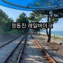 정동진 레일바이크.강릉여행 추천 장소!예약.가격.주차팁 정보~