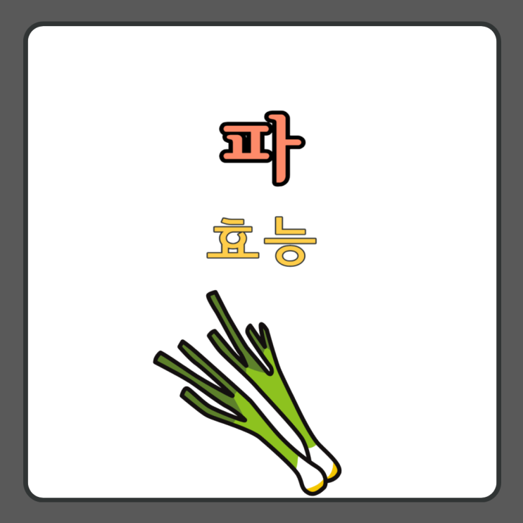 파 쪽파 대파 파뿌리 효능 : 네이버 블로그