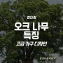 하드우드 오크 나무, 떡갈 또는 도토리 특징