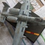 아카데미 1/48 A-10C 공격기 / 플라잉 타이거즈