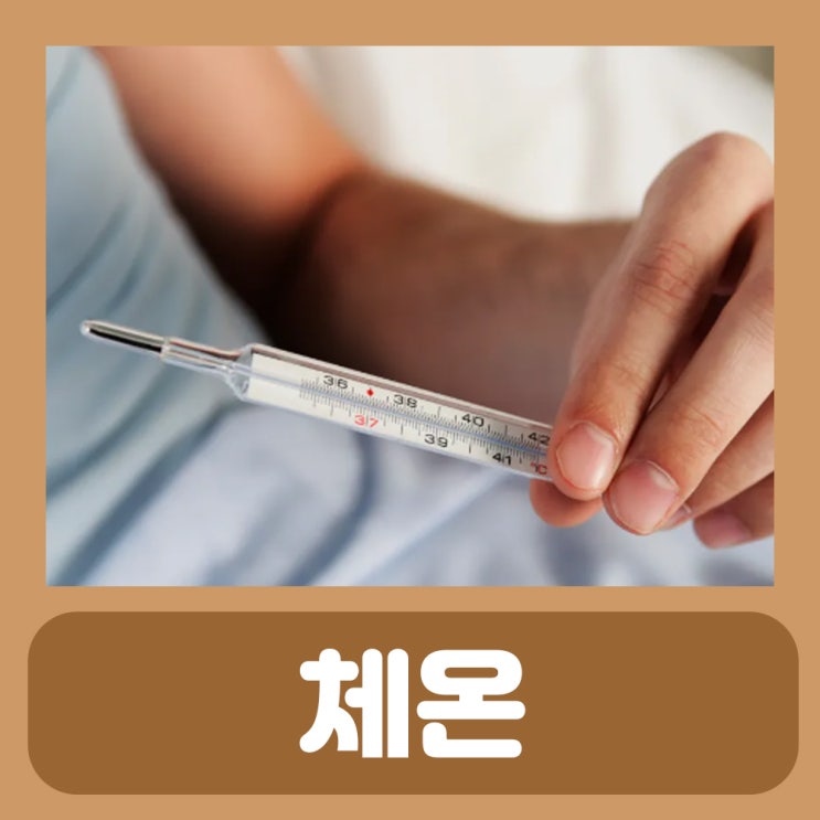 정상체온범위성인 : 평균 기초 적정 체온 : 네이버 블로그