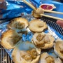 [속초 맛집/대포항 맛집] 직접 구워주시는 가리비맛집 “민석이네삼형제”