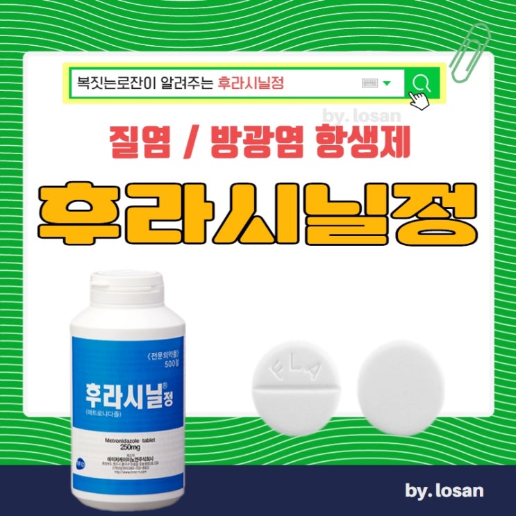 후라시닐정 효능 질염 방광염 부작용 후라시닐 복용법(절대 금주) : 네이버 블로그