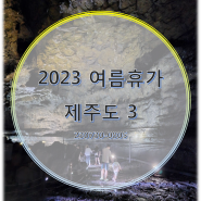 2023 여름휴가 제주도 3 (230803-05)