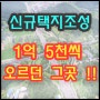 3기신도시 토지매매 후기 택지조성 확정 축하합니다 보름 만에 1억 5천씩 오르던 그곳 아시죠?