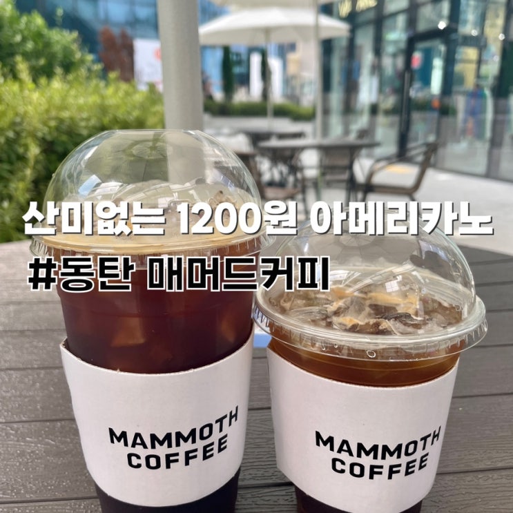 매머드커피 사진