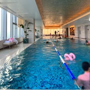 [대전] 대전 신세계와 바로 연결되어 있어 편리한 5성급 호텔 오노마 1박 2일 호캉스 - 오노마 클럽 피트니스 수영장