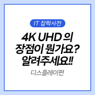 [IT 잡학사전] 4K UHD 모니터의 장점이 뭔가요? 구체적으로 알려주세요! S43CG700 43인치 게이밍모니터 대화면모니터