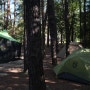 c#67 촬영보다 휴식이 고팠던 숲속 캠핑장의 하루