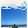 [솔향기캠핑장] 🏕 연곡해변 /사이트뷰