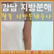 강남역 팔뚝 지방분해주사 후기!