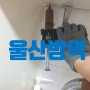 울산방역업체 / 꼼꼼한 바퀴벌레 퇴치 (울산 남구 달동주공)