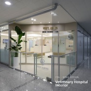 쾌적하고 온화한 디자인의 평택 신규 동물병원인테리어 : 괜찮아 동물병원