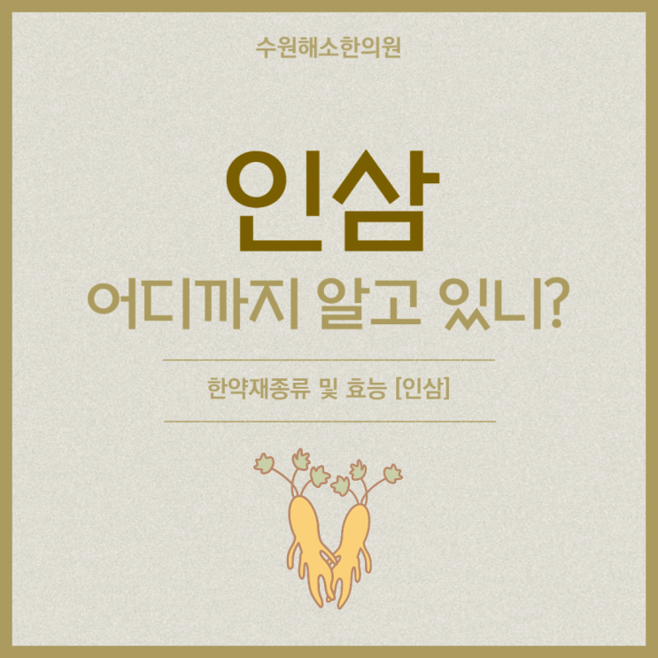효과좋은 인삼차 만드는 법! : 네이버 블로그