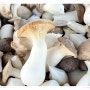 영양가 높고 맛있는 새송이버섯 효능과 다양하게 먹는 방법 알려드려요!