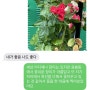 장미보고도 울컥하는 정신머리로