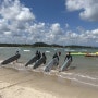 [제주취미] 서귀포 표선 해수욕장 서핑 패들 표선서핑스쿨