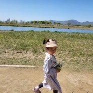 부산 화명생태공원~금빛노을 브릿지 아이와 산책하기 좋은곳