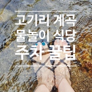 서울 근교 용인 고기리 계곡 아기랑 물놀이 및 맛집 후기 ft 주차 꿀팁
