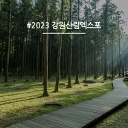 2023 강원 세계 산림엑스포