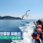 [맨블] 충남 태안여행 '안흥항 21세기 관광 유람선' | 푸른바다 태안해안국립공원!