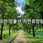 괴산 성불산 자연휴양림 캠핑(feat 가을인가 봐)