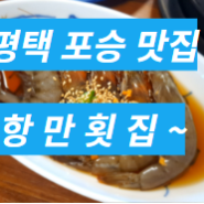 평택 포승 맛집 여행 항만횟집 점심 리뷰