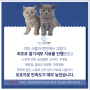 고양이 엑소좀 치료 시작을 알립니다.