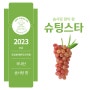 2023 솜사탕 향 신품종 슈팅스타 포도 특성과 보급현황