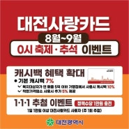 대전사랑카드(구 온통대전)10% 캐시백
