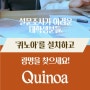 [기프티콘 이벤트] LG CNS가 개발한 서베이 앱 '퀴노아' 회원가입 이벤트(9/7~9/16)