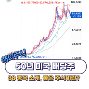 50년 이상 미국 배당주 종목 38개 (ft.AWR 기업)