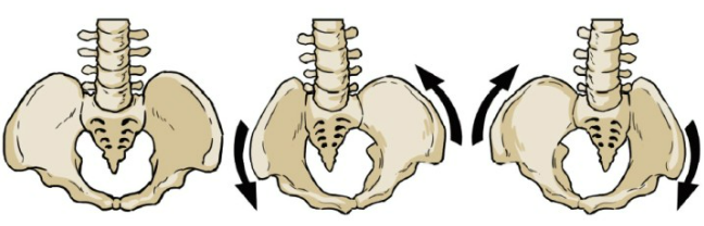 평촌역 필라테스에서 Pelvic Rotation (골반 회전)의 교정 및 치료에 대해서 알아보자_PART 3. : 네이버 블로그