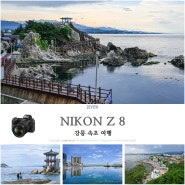 니콘 풀프레임 미러리스 카메라 Z 8과 함께한 강릉 속초 여행
