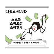소소일기 / 8월 소비정리 소비일기장 내돈내산 후기