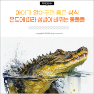 온도에 따라 성별이 바뀌는 동물 - 온도 의존성 성결정