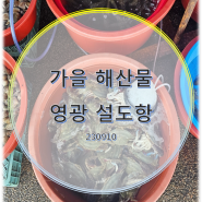 가을해산물 설도항 (230910)