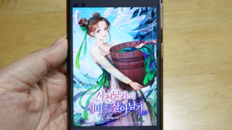 무협 로맨스 소설 추천 사천당가의 시비로 살아남기 책빙의 소설 작가 Molae : 네이버 블로그