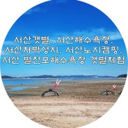 서산갯벌, 서산해수욕장, 서산차박성지, 서산노지캠핑 - 서산 벌천포해수욕장 갯벌체험