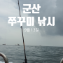 [조행기] 군산 비응항 쭈꾸미 낚시 출조 후기 (9월 13일)(카니발호)(하루 종일 우중낚시)