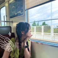 [일본/오사카] 간사이 항공에서 난바 역까지 가는 법 ( 라피트 티켓 교환하는 곳, 일본 eSim)