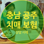 충남 공주 보험설계사 노인 요양 등급 재가급여 중증 치매보험 준비 상담