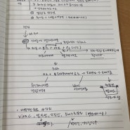 23,9,16(미백관리 및 멜라닌색소)