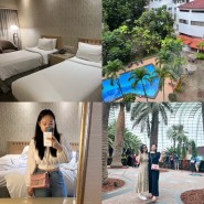 싱가포르 가족여행 가성비 호텔 요크호텔 추천 후기