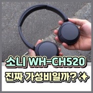 소니 WH-CH520 가성비 헤드폰 장단점 정리