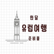 한달 유럽여행 준비물 (다이소, 생각보다 필요없었던 물건과 정말 필요한 물건)