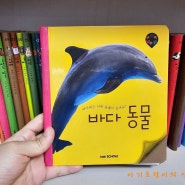 [키즈스콜레 마이퍼스트월드] 바다 동물, 3D 컬러링북 색칠하기
