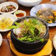 김포 연안식당 메뉴 가격 운양동 맛집 꼬막비빔밥 해물뚝배기 혼밥 가능